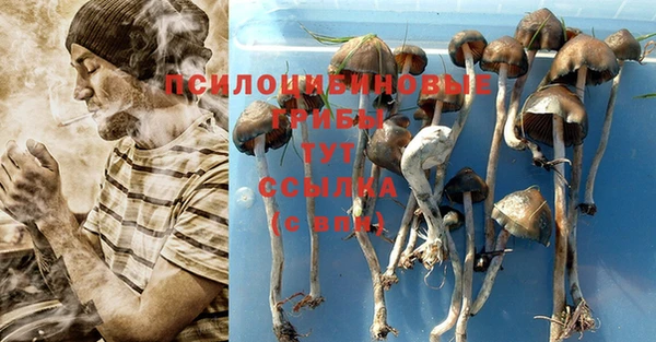 герыч Елизово
