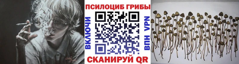 Псилоцибиновые грибы мухоморы  Купить где  Сухиничи 