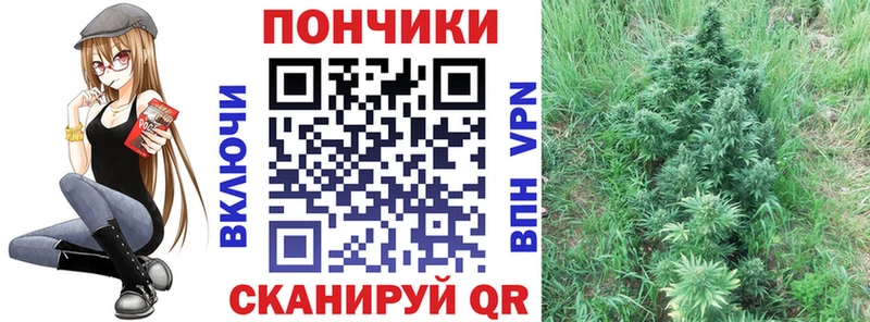 Купить закладки  Сухиничи  Бошки Шишки планчик 